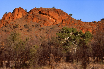 Outback - Foto, Druck, Poster, Leinwand