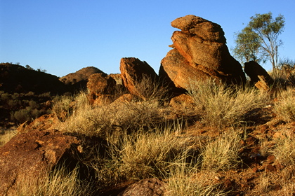 Outback - Foto, Druck, Poster, Leinwand