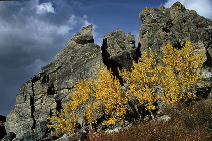 Felsen - Foto, Druck, Poster, Leinwand