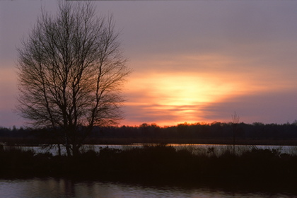 Abendrot im Moor - Foto, Druck, Poster, Leinwand