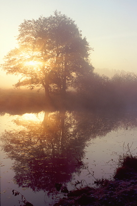 Flußlauf im Nebel - Foto, Druck, Poster, Leinwand