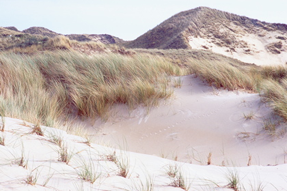 Dünenlandschaft - Foto, Druck, Poster, Leinwand