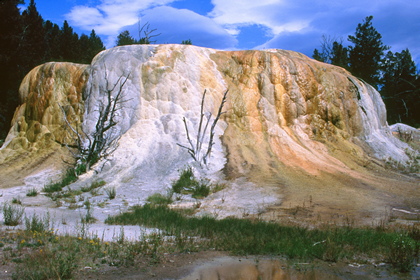 Orange Spring Mound - Foto, Druck, Poster, Leinwand