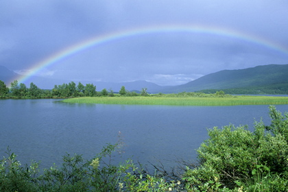 Regenbogen - Foto, Druck, Poster, Leinwand