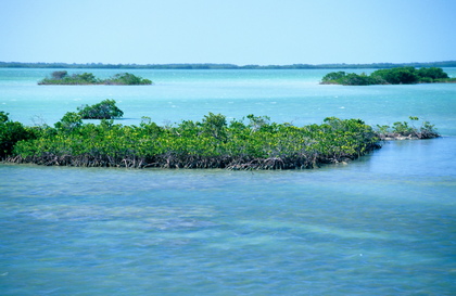 In den Florida Keys - Foto, Druck, Poster, Leinwand