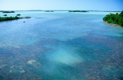 In den Florida Keys - Foto, Druck, Poster, Leinwand