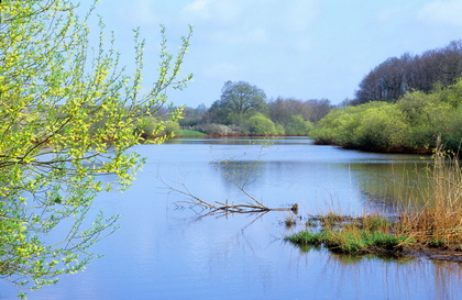 Flusslandschaft - Foto, Druck, Poster, Leinwand