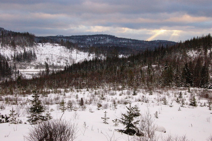 Nordische Winterlandschaft - Foto, Druck, Poster, Leinwand