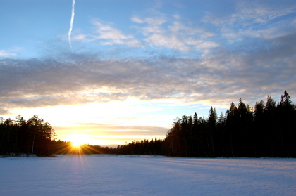 Wintersonne - Foto, Druck, Poster, Leinwand