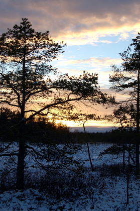 Nordischer Winterabend - Foto, Druck, Poster, Leinwand