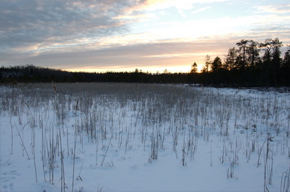 Nordische Winterlandschaft - Foto, Druck, Poster, Leinwand