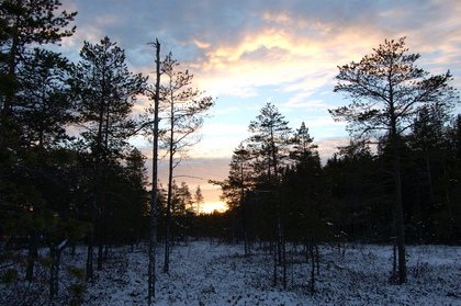 Nordischer Winterabend - Foto, Druck, Poster, Leinwand