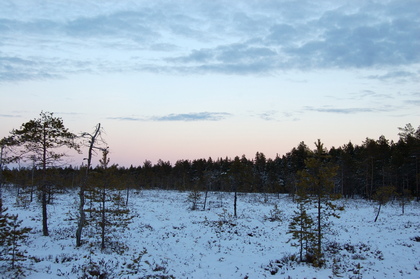 Nordische Winterlandschaft - Foto, Druck, Poster, Leinwand