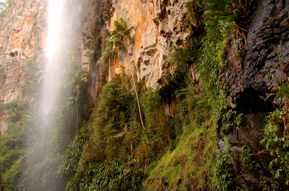 Wasserfall - Foto, Druck, Poster, Leinwand