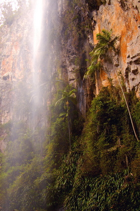 Wasserfall - Foto, Druck, Poster, Leinwand