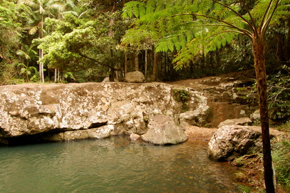 Waldsee - Foto, Druck, Poster, Leinwand