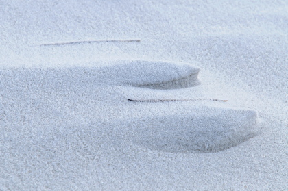 Sandmuster am Strand - Foto, Druck, Poster, Leinwand