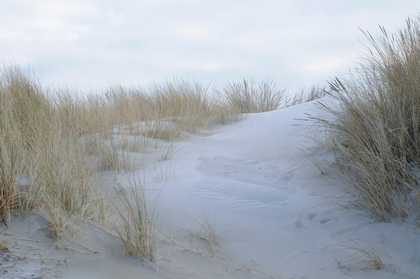 Dünenlandschaft - Foto, Druck, Poster, Leinwand