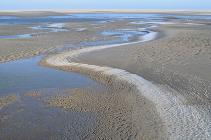 Wattenmeer - Foto, Druck, Poster, Leinwand