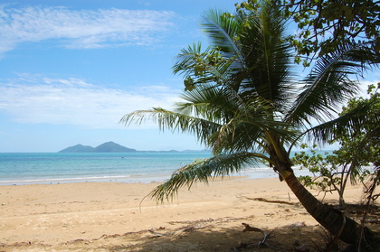 Palmenstrand - Foto, Druck, Poster, Leinwand