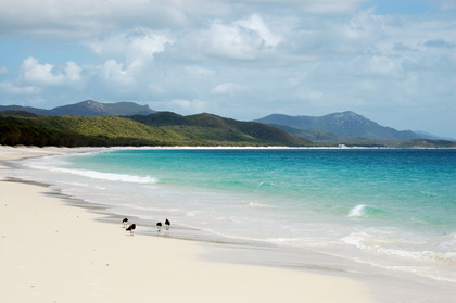 Whitehaven Beach - Foto, Druck, Poster, Leinwand