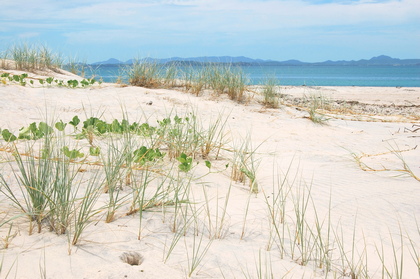 Sandstrand - Foto, Druck, Poster, Leinwand