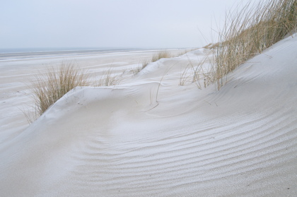 Stranddünen - Foto, Druck, Poster, Leinwand