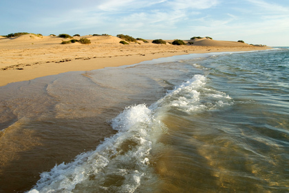 Strand und Dünen - Foto, Druck, Poster, Leinwand