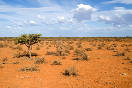 Outback - Foto, Druck, Poster, Leinwand