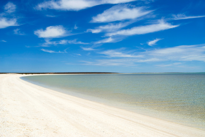 Muschelstrand - Foto, Druck, Poster, Leinwand