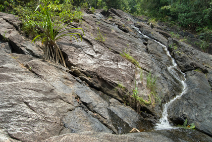 Rinnsal am Felsen - Foto, Druck, Poster, Leinwand