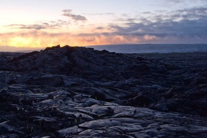 Sonnenuntergang über Lavafeld - Foto, Druck, Poster, Leinwand