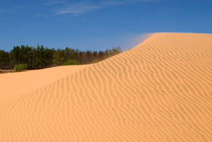 Sanddüne - Foto, Druck, Poster, Leinwand