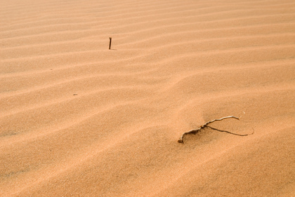 Linien im Sand - Foto, Druck, Poster, Leinwand