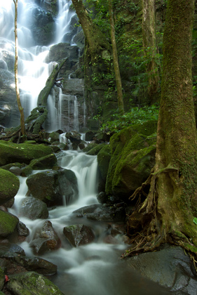 Wasserfall - Foto, Druck, Poster, Leinwand