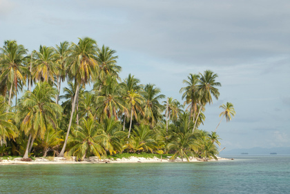 Palmenstrand - Foto, Druck, Poster, Leinwand