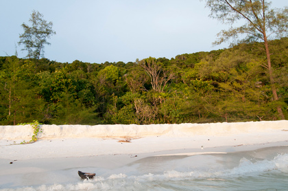 Tropischer Strand - Foto, Druck, Poster, Leinwand