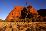 Foto Ayers Rock