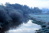 Foto Nebeliger Bachlauf