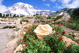 Foto Berglandschaft