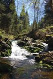 Foto Waldbach