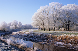 Foto Winterlandschaft