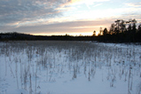 Foto Nordische Winterlandschaft