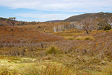 Foto Tasmanisches Hochland