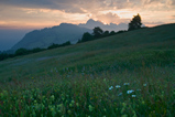 Foto Morgenstimmung auf der Seiser Alm