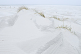 Foto Stranddünen