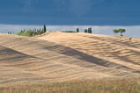 Foto Toscana