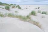 Foto Dünen auf Spiekeroog