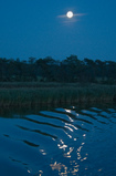 Foto Vollmond über dem Bodden