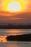 Foto Sonnenaufgang am Bodden